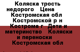 Коляска трость ,недорого › Цена ­ 700 - Костромская обл., Костромской р-н, Кострома г. Дети и материнство » Коляски и переноски   . Костромская обл.